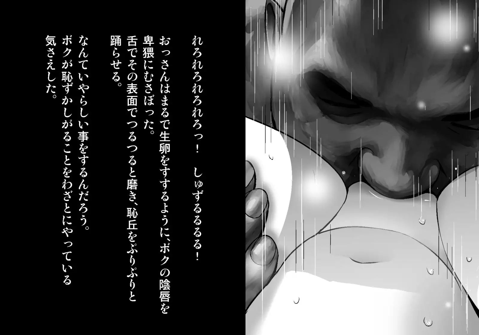 フェアリーセティ