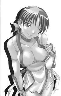 (C62) [MG WORKS (Isou Doubaku)] NINJA MANIA DELUXE (Dead or Alive)