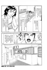 [Kamihashi Tani, Hino Shunpei] Fuuzoku Tenchou Monogatari Vol.03