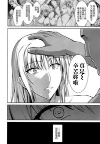 (C91) [Type-G (Ishigaki Takashi)] Mesu Kagura -Fate Hen 4- (Mahou Shoujo Lyrical Nanoha) [Chinese] [空気系☆漢化]