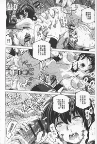 [keso] Hikoushiki Heroine Zukan | 非公式女性角色圖姦 [Chinese]