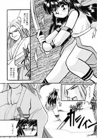 (C45) [D.D.GAPS (various)] HG Vol.1 Samurai Nihondai Katsugeki (Samurai Spirits)