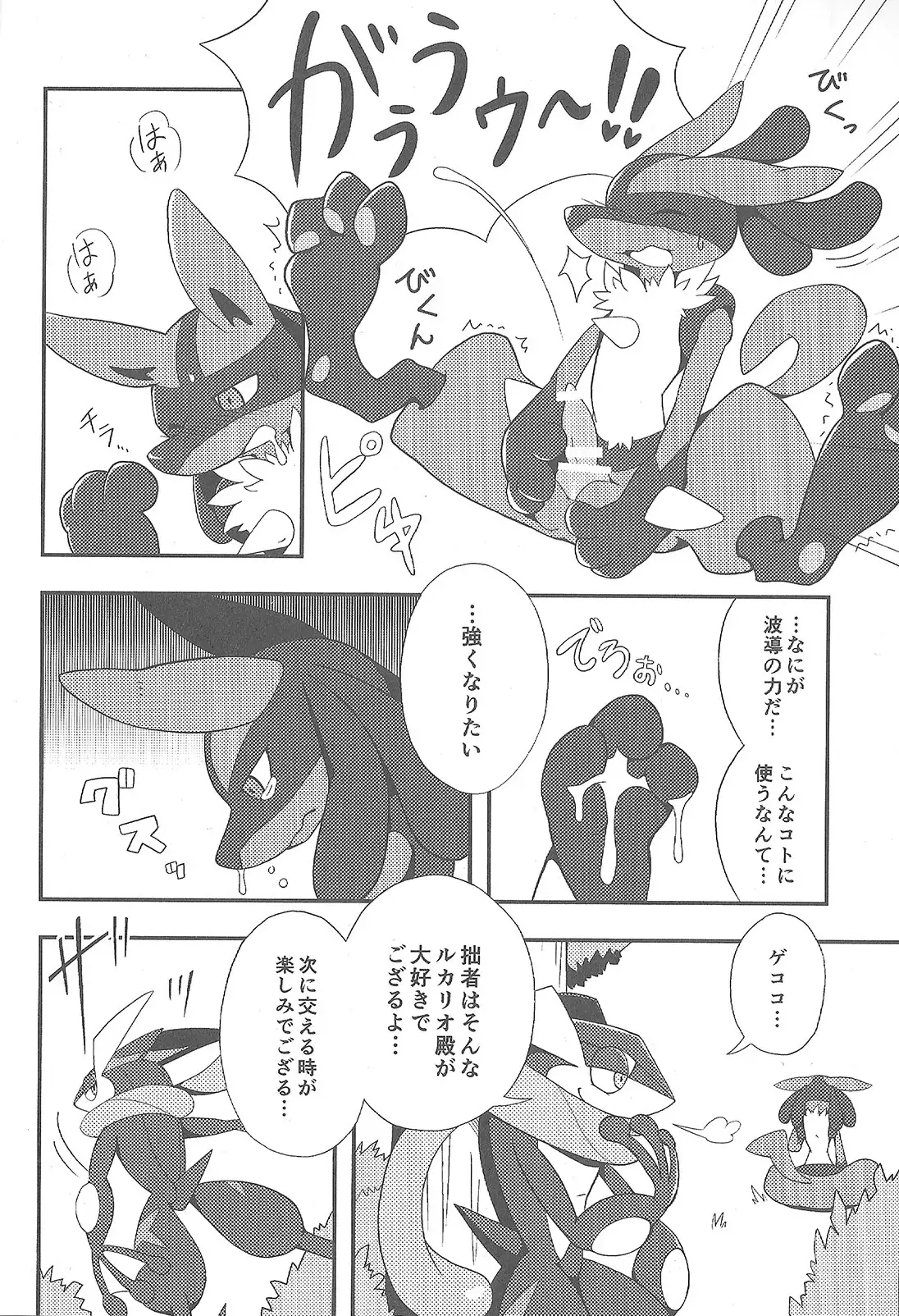 LUCARIO IJIME ANTHOLOGY