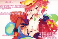 (C85) [Wasuraruru Tegami (Binsen)] Elf Shimai no Chousen [Chinese] [狼娘汉化]