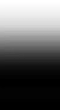 姐妹丼饭 Sister rice Chinese Rsiky