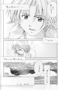 (C66) [Shiitake (Setsuna)] Setsuna FF COLLECTION (Final Fantasy)