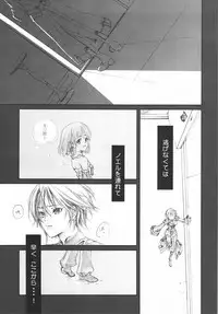 (C73) [50BMG, Akai Tsubasa (Shindou Nobumichi, Tachibana Chata)] LOVE FOOL.07 (Fantasy Earth ZERO)