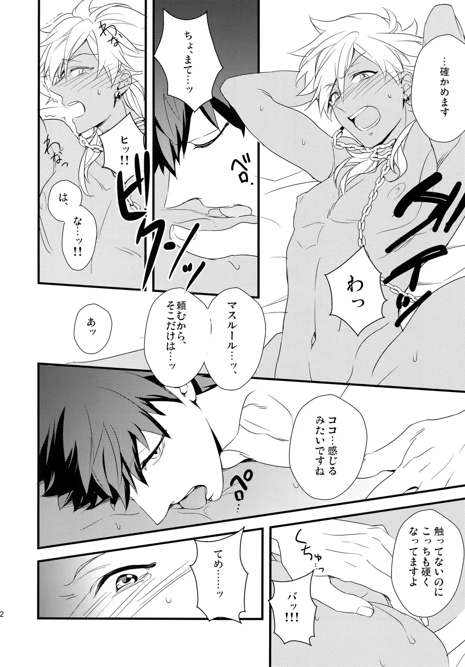 PureSlider. Sairoku 2011 - 2012