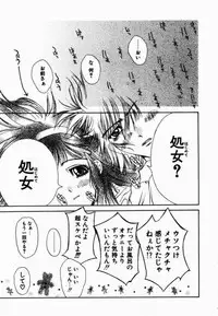 [Kojiki Ohji] Freesia