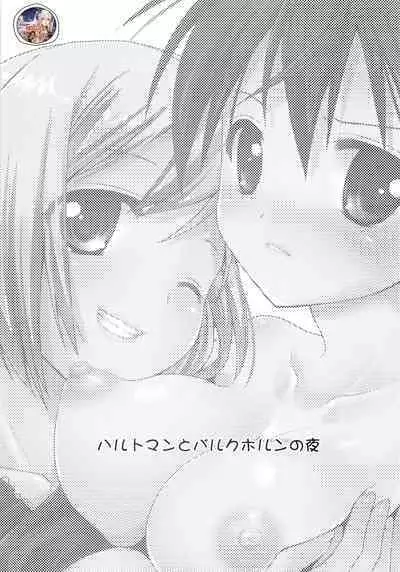 Hartmann to Barkhorn no Yoru | 哈特曼与巴克霍隆之夜