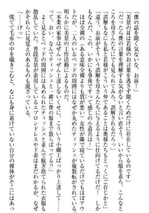 年上メイドの新婚日記