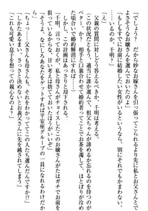 年上メイドの新婚日記