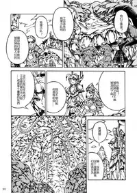 (C90) [Yokohama Junky (Makari Tohru)] Solo Hunter-tachi no Seitai (Monster Hunter) [Chinese] [中国翻訳] [VK1062喵&萌紋 漢化]