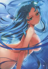 (C85) [TRI-MOON! (Mikazuki Akira!)] vario (Mahou Shoujo Lyrical Nanoha)