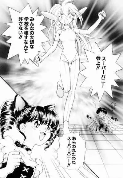 [Hikaru Nagareboshi] Seigi No Mikata Mo Raku Zya Nai