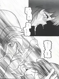 FLOWER VICTIM II EURI EDITION