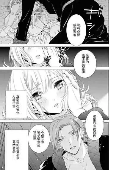 kyūkoku no kishi-sama kara etchina kotoba ga tomarimasen ~tsu | 救国的骑士大人无法停止下流的话