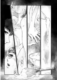 [Fujii Akiko, Akiyama Michio] OO III Aiyoku no Ougonritsu