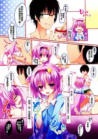 (C88) [Kinokomushin (Kinokomushi)] Nyatori-sama, Hiroimashita. (Touhou Project) [Chinese] [oo君個人漢化]