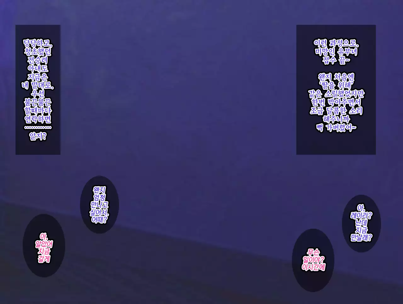 The Netori ~Nanpa-shi Baron no Hitozuma Kanraku Jutsu☆~