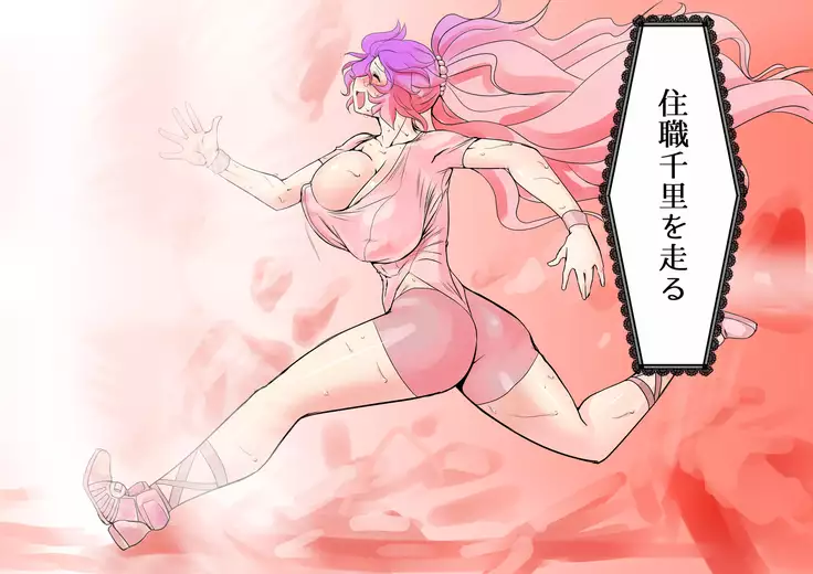 Touhou Pragmatizer 17