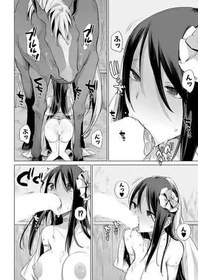 お馬のお嫁さん