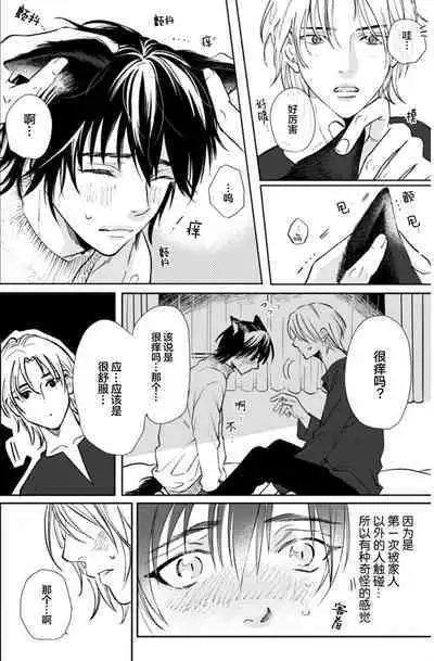 Ippiki Ookami, Koi o Suru | 坠入爱河的狼