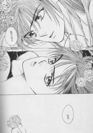 トゥルーカラーズ