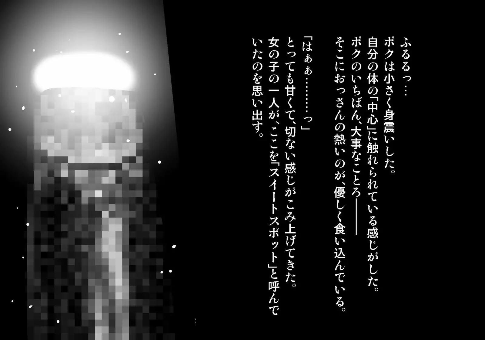 フェアリーセティ