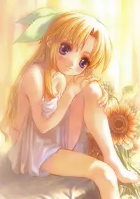 Canvas Visual Fan Book