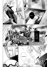 (C80) [nightflight (Yui)] Kioku no Niwa 1 | Garden of Memories 1 (Dissidia Final Fantasy) [English]