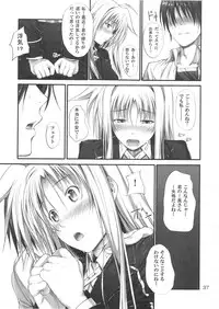(C82) [IV VA SHIN (Mikuni Mizuki)] Home Sweet Home ~Fate hen 3~ (Mahou Shoujo Lyrical Nanoha)