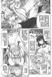 [Nozarashi Satoru] Do S na Hime wa Kegasareru -Inga no Shou- | 超S的公主被玷汙了 ～因果之章～ [Chinese]