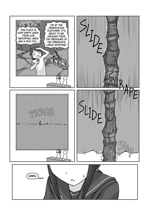 Koko wa Hime-sama no Toile desu