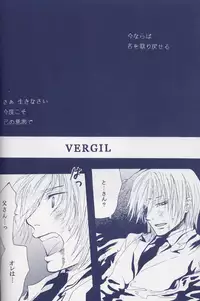 [Devil May Cry] Fragment (VergilxDante)