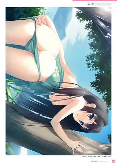 Kantoku Publicity Visual book