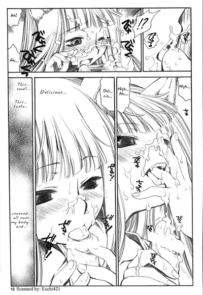 (C72) [Emode (Sanada Rin)] Shiawase o Ushinau no Naraba Kinyoku Nado Gu no Kocchou (Spice and Wolf) [English]