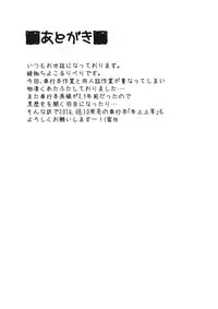 (C86) [Arysuivery (Ayakase Chiyoko, Ayakase Riberi)] Sonaemono (Touhou Project)