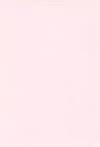 (C68) [Dennougiwa (Takano Iori)] Twins Note (Fushigiboshi no Futagohime)