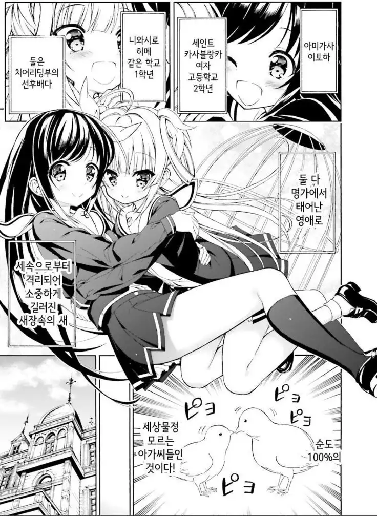 Hatsukoi, Tokimeki Usuihon Ch. 1