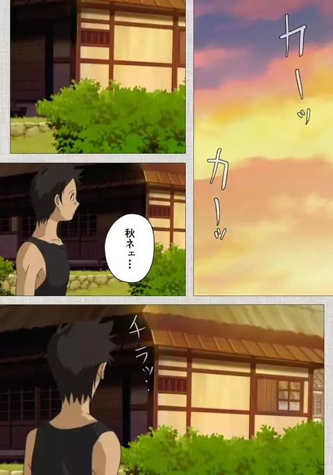 Maid Ane 1-Kame Complete Ban