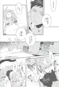 (SPARK8) [inumog (Fujino, Marumo)] Kimi to Nekomimi (Kuroko no Basuke)