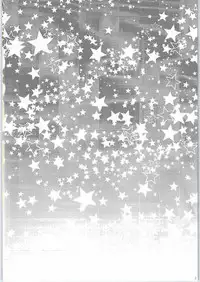 (C88) [nothingfades (Amane Nekoko)] Naisho no Hajimete Kouhen (PriPara)