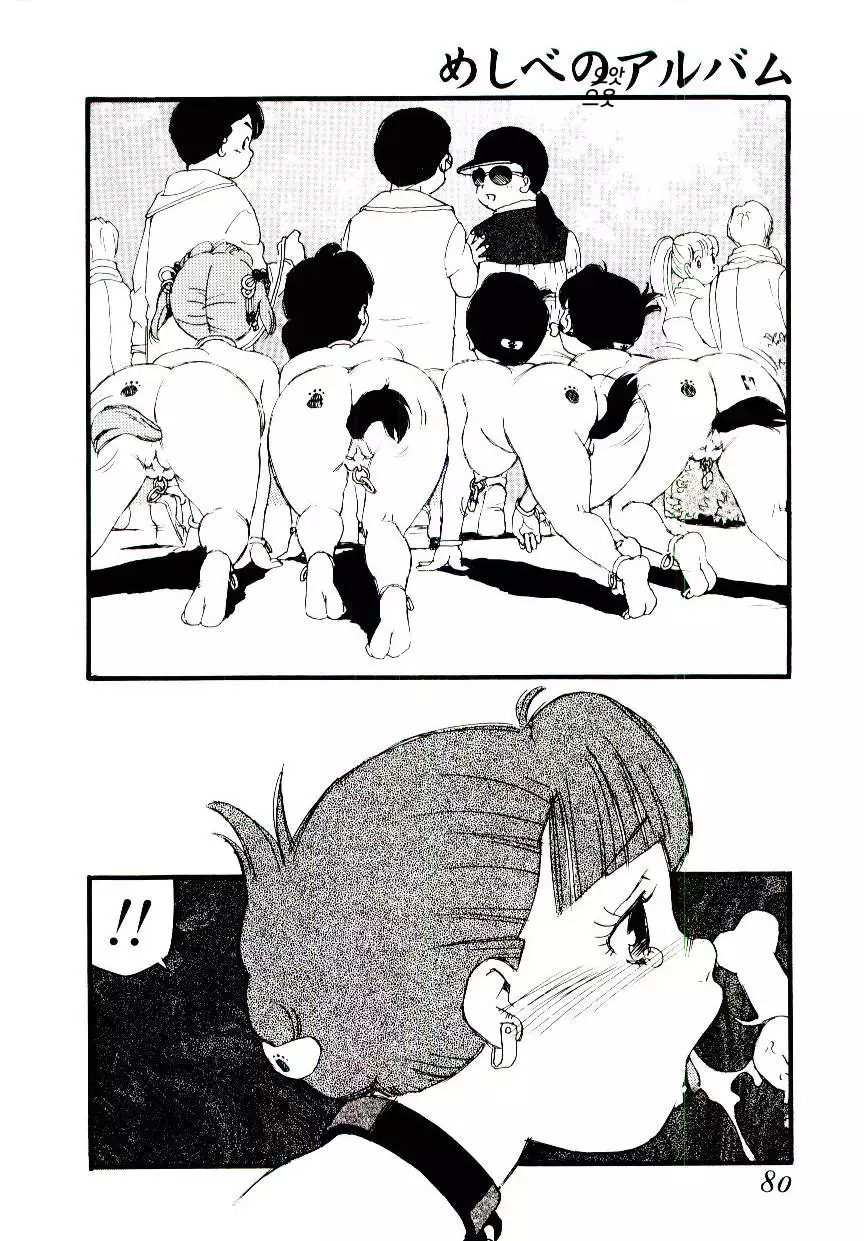 Meshi be no album |암꽃술 앨범