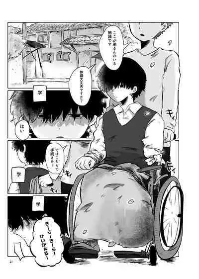 きらきらひかる