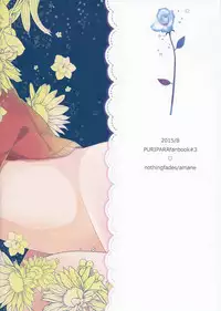 (C88) [nothingfades (Amane Nekoko)] Naisho no Hajimete Kouhen (PriPara)