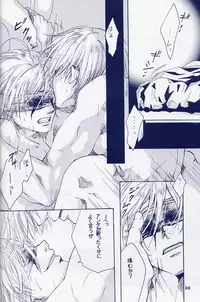 [Devil May Cry] Fragment (VergilxDante)