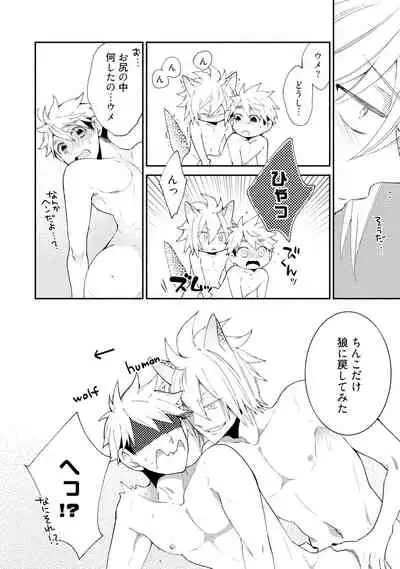 Wolves and Erotic Things