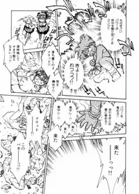 [Shibata Masahiro] Sarai Vol.10