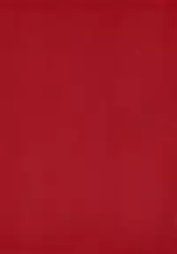 (C92) [Kodoku intelligence (Nanao)] THE BOOK OF RIKO (Love Live! Sunshine!!) [English] [Redlantern]